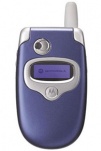  o Motorola V300